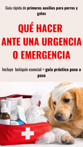 Guía de Primeros Auxilios para Perros y Gatos - Qué hacer ante una emergencia